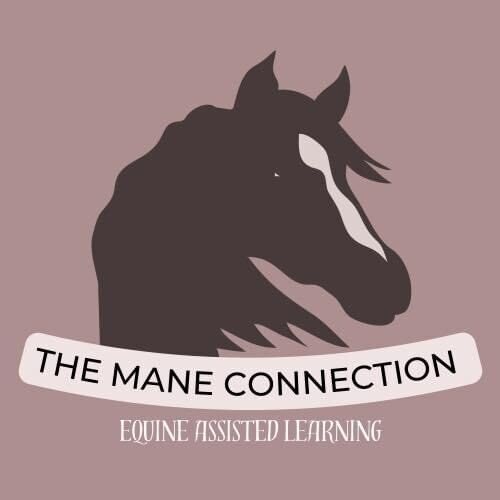 The Mane Connection  logo